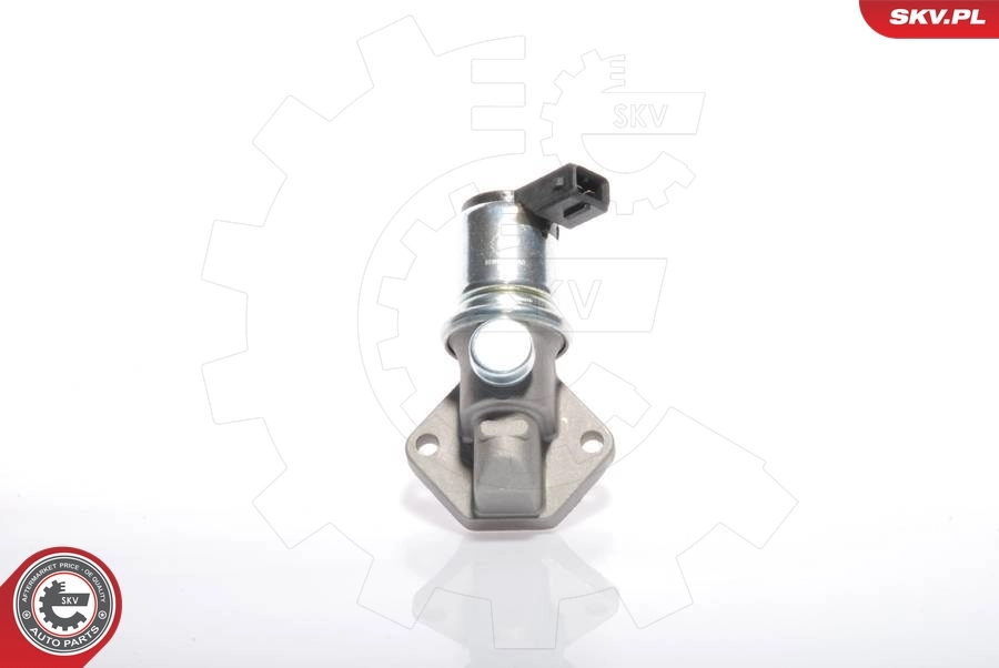 Idle Control Valve, air supply